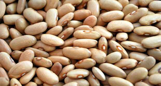 green beans seeds
