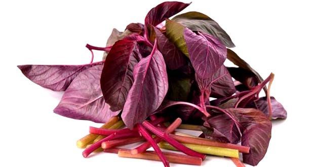 health benefits of red spinach