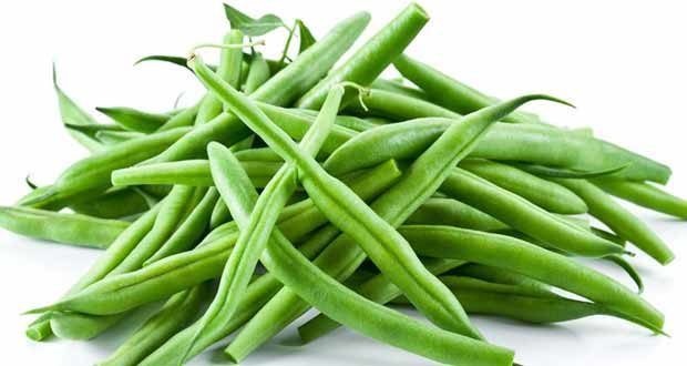 how to grow green beans