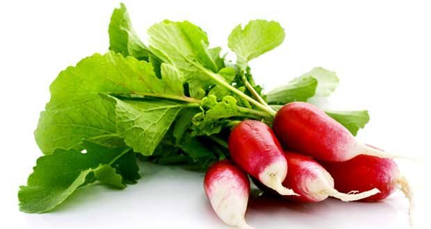 how to grow radishes