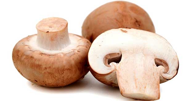 health benefits of mushrooms