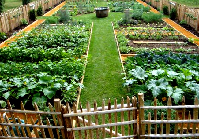 How to Build Up a Potager Garden