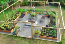 Vegetable Garden Fence Idea With Pictures