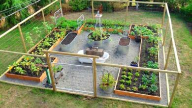 Vegetable Garden Fence Idea With Pictures