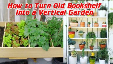 How to Turn Old Bookshelf Into a Vertical Garden