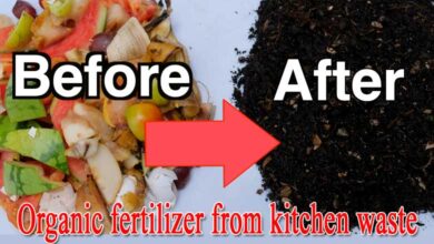 kitchen Waste Decomposer Made of Organic Fertilizer