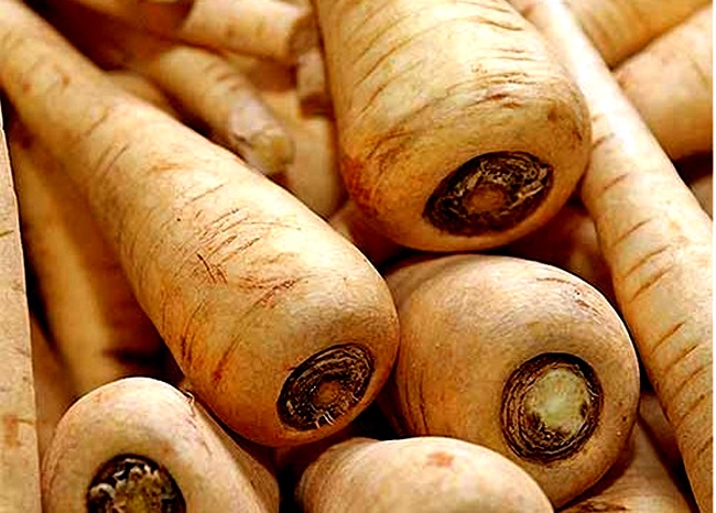 How to Grow Parsnips Plant Harvest Cool Idea