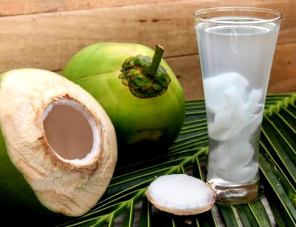 How Coconut Water for Plants Amazing Organic Fertilizer