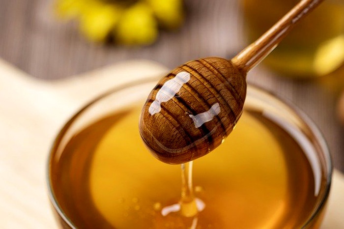 How To Use Honey As a Rooting Hormone