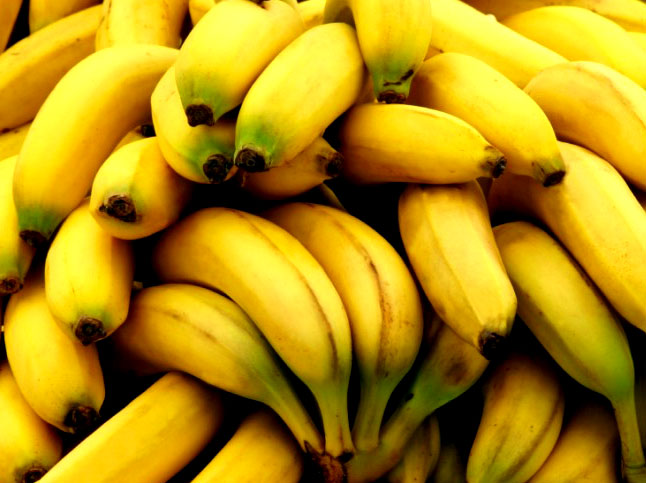 How to Grow Darjeeling Banana