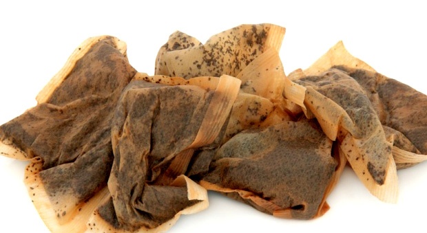 Amazing Tea Bag Uses In Garden
