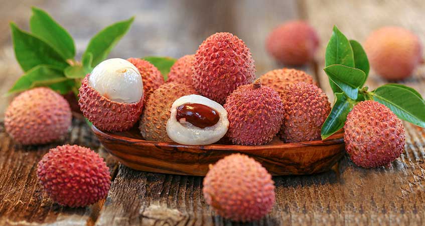 how to grow lychee fruit